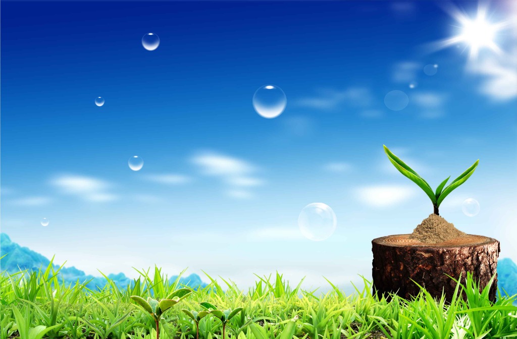 自动灌装机的保养方法与注意事项